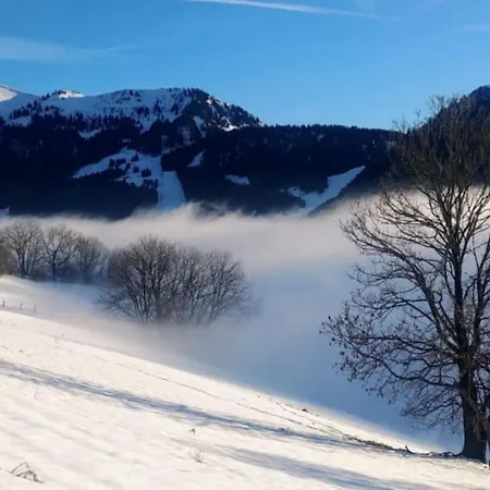 Appartamento Jolie Vue Au Calme Évian-les-Bains Esterno foto