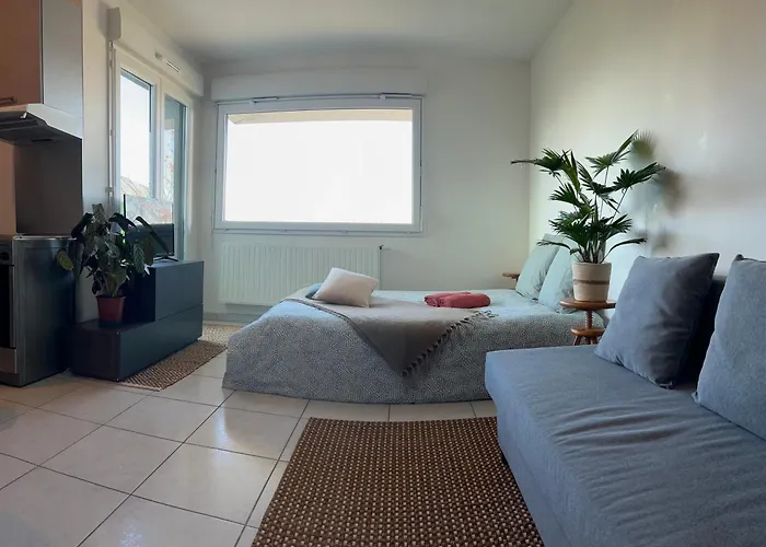 Jolie Vue Au Calme
